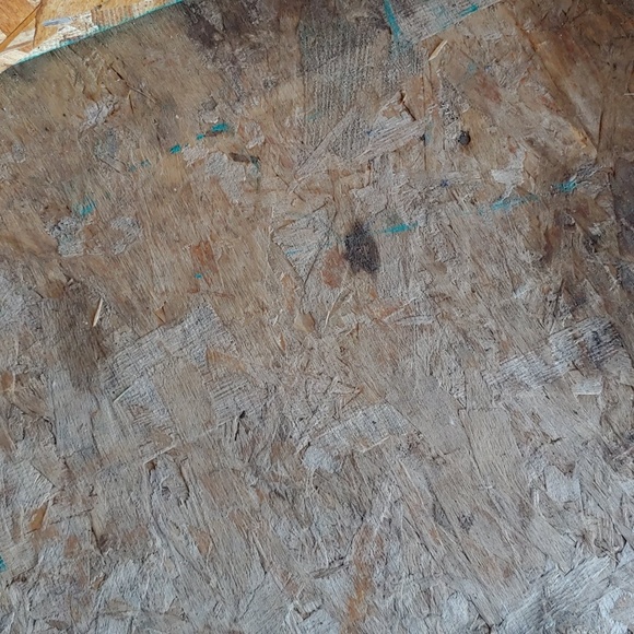 Meet your Posher, Mike - Picture 1 of 1